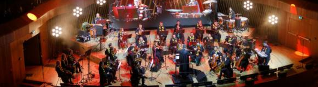 Show all photos of Koncert Filmske Simfonične Glasbe Harry Potter Tribute