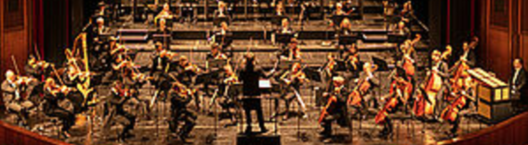 Εμφάνιση όλων των φωτογραφιών του 5th Symphony concert «Dark years»