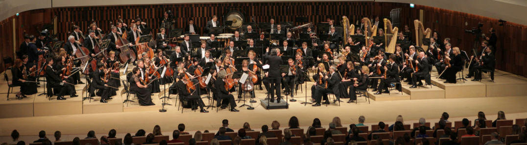 Erakutsi Svetlanov State Orchestra of Russia -ren argazki guztiak