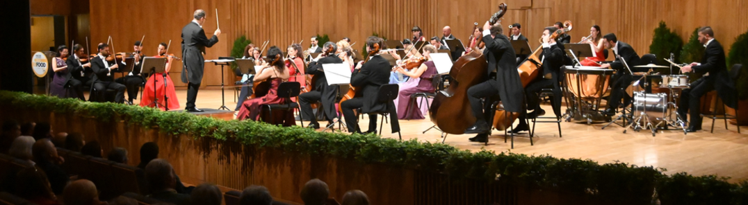 Show all photos of Chamber Orchestra of Cascais and Oeiras