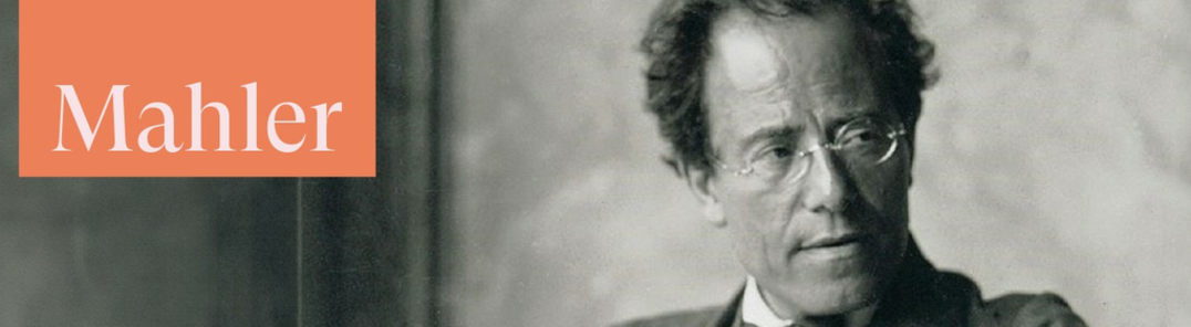 Mostrar todas as fotos de Mahlers niende symfoni