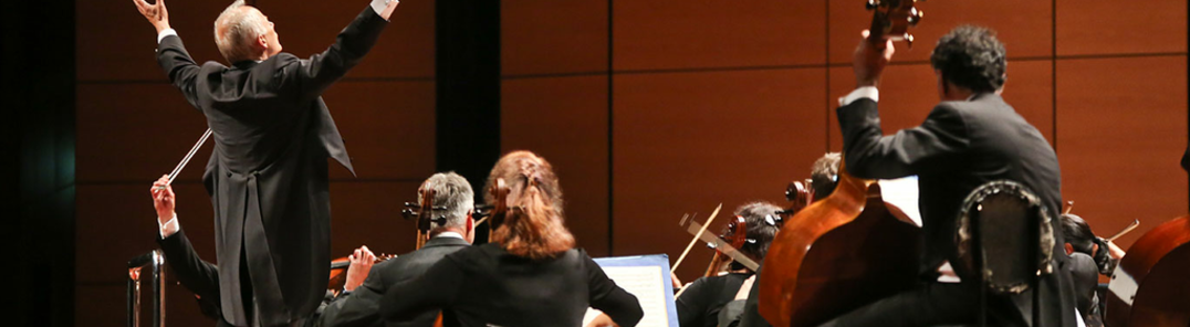 Alle Fotos von Vienna Chamber Orchestra & Fazil Say anzeigen