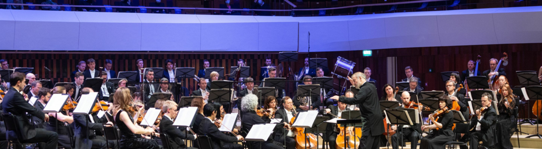 Show all photos of Mariinsky Theater Symphony Orchestra / Valery Gergiev