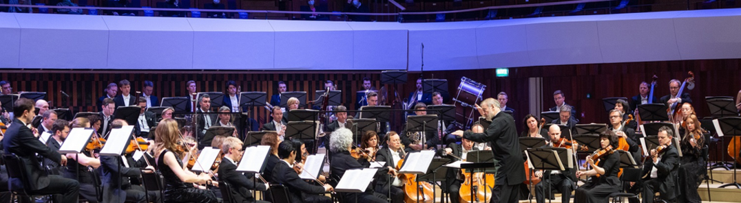 Mostra totes les fotos de Symphony Orchestra of the Mariinsky Theater