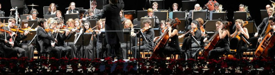 Vis alle bilder av Concerto Di Capodanno 2017