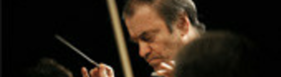 Show all photos of Valery Gergiev and Mariinsky Theatre Orchestra Concert