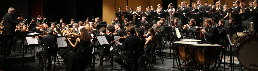 Sýna allar myndir af Orchester of the Teatro Olimpico