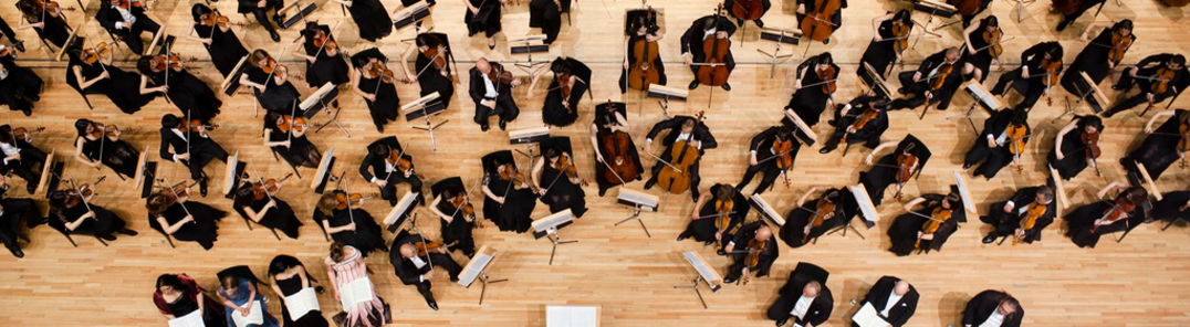 Mostra totes les fotos de Bilkent Symphony Orchestra