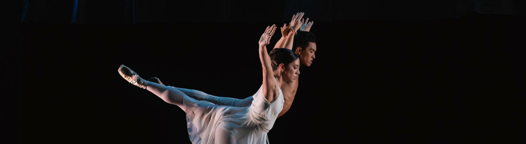 Vis alle bilder av Generations. Three Short Ballets (Peck, Ella, van Mannen)