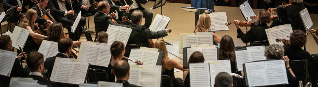Afficher toutes les photos de Symphony Orchestra Mariinsky Theatre