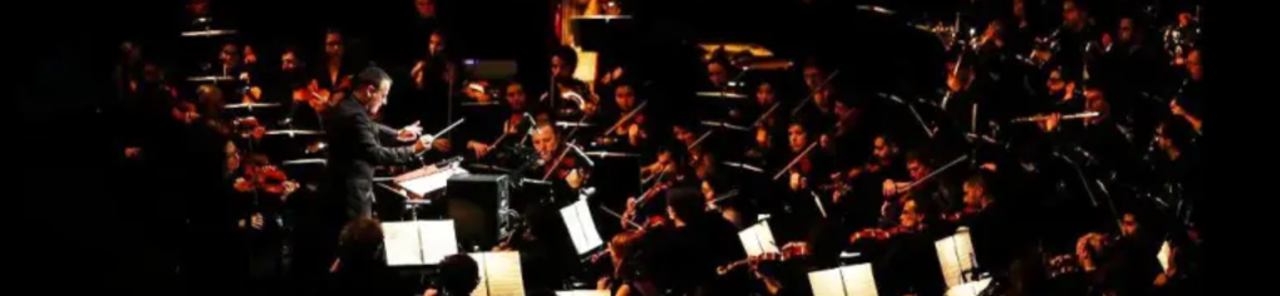 Sýna allar myndir af Symphonic Concert with the Ploiești Philharmonic Orchestra