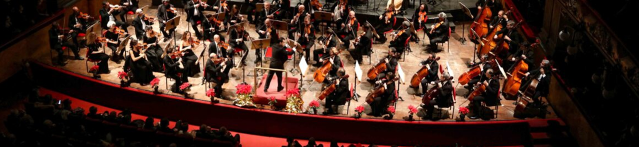 Pokaži vse fotografije osebe Gran Concerto di Capodanno