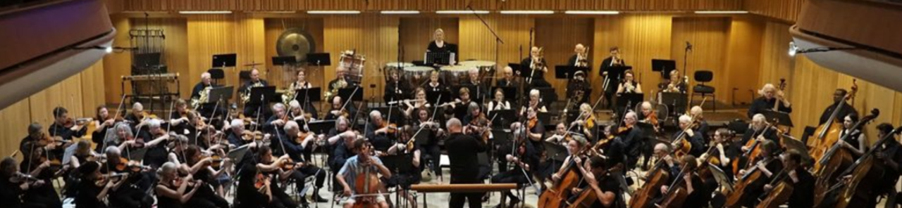 Mostrar todas las fotos de The European Doctors Orchestra 20th Anniversary Concert