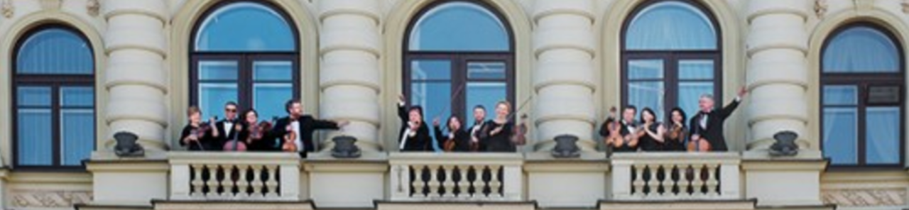 Pokaži vse fotografije osebe Orquesta De Cámara De Lituania