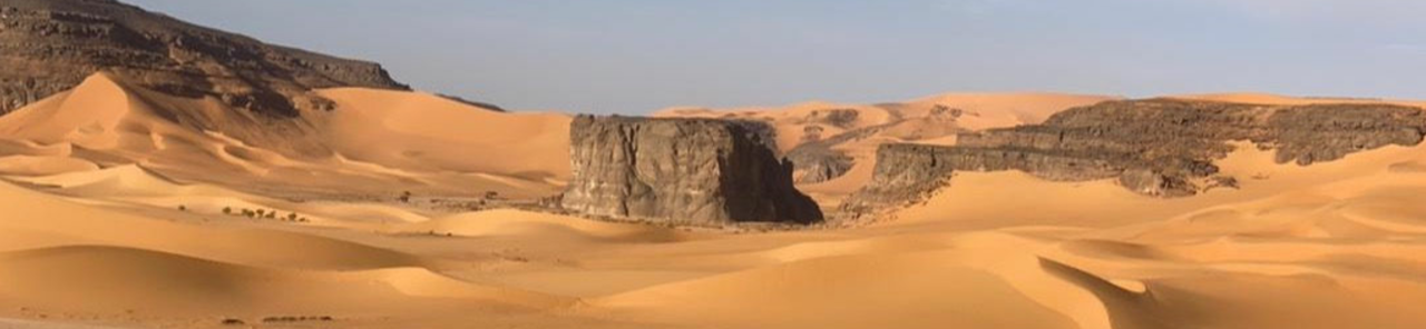 Toon alle foto's van Algerian desert sounds