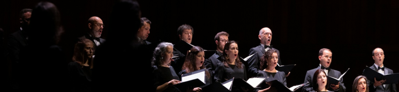 Taispeáin gach grianghraf de Coro Gulbenkian a cappella