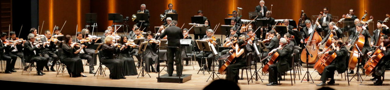 Zobrazit všechny fotky National Symphony Orchestra: Rachmaninoff 150