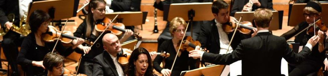 Vis alle billeder af Classic Philharmonic Hamburg