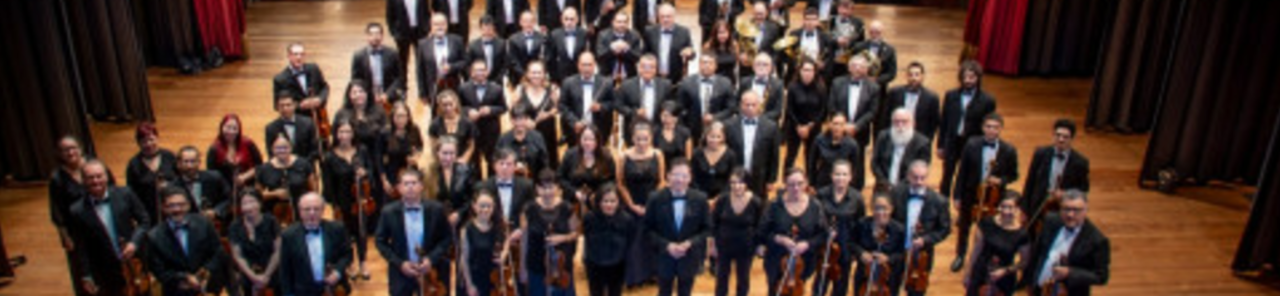 Vis alle bilder av VI Concierto de Temporada Orquesta Sinfónica Nacional