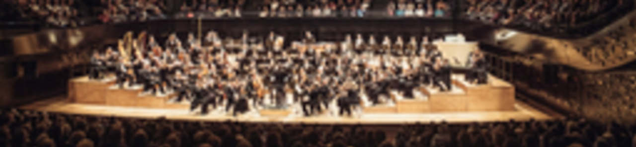 Show all photos of London Symphony Orchestra - Valery Gergiev - Daniil Trifonov