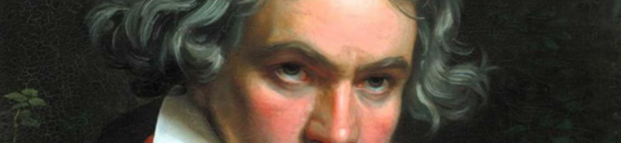 Afficher toutes les photos de Novena Sinfonía de Beethoven