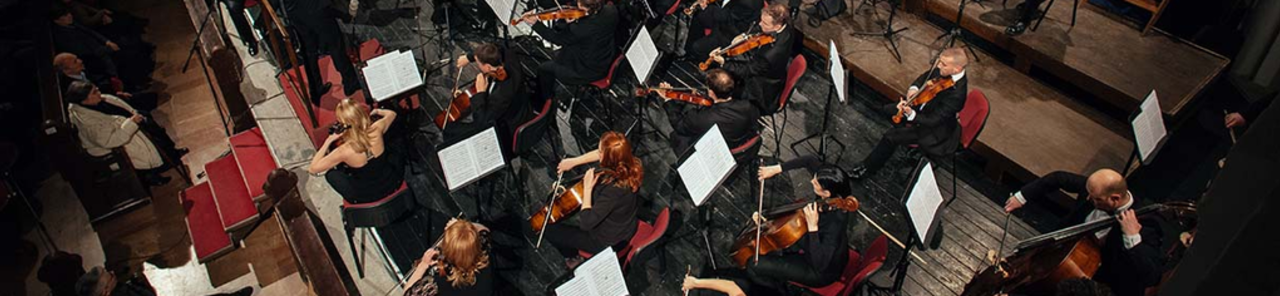 Mostra totes les fotos de Vojvodina Symphony Orchestra