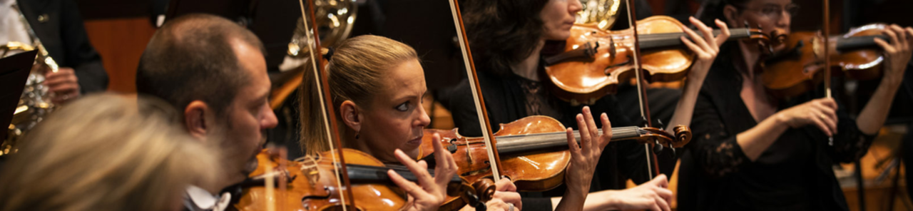 Rodyti visas Mozart: Requiem nuotraukas