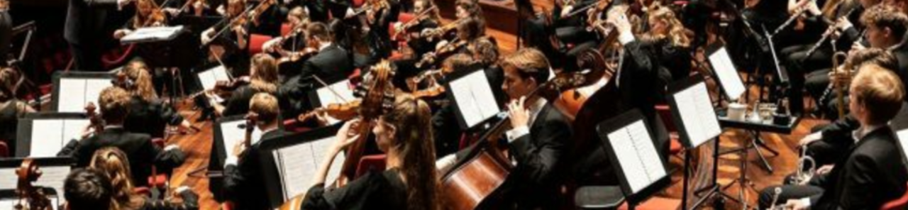 Toon alle foto's van Netherlands student orchestra plays: Bruckner, Elgar and Richter