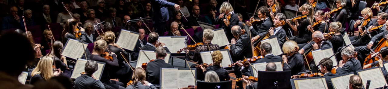 Uri r-ritratti kollha ta' Rotterdams Philharmonic Orchestra