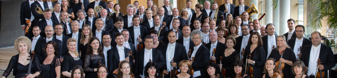 Mostra totes les fotos de Haydneum Egyházzenei Fesztivál – a Nemzeti Filharmonikus Zenekar Koncertje