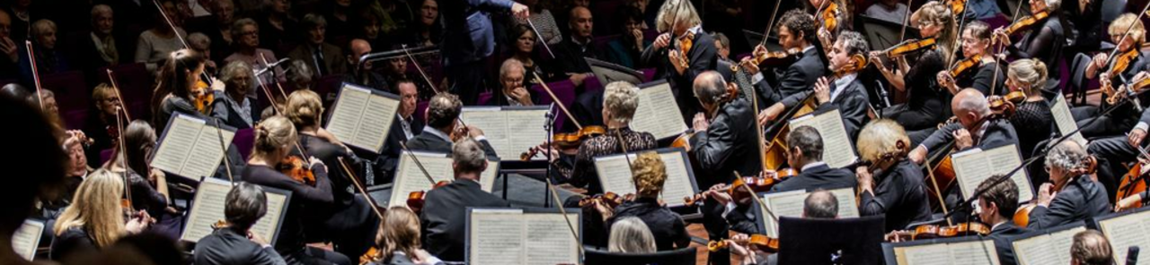 Mostrar todas las fotos de Rotterdam Philharmonic Orchestra / Orfeón Donostiarra / Beethoven: 9ª Sinfonía, "Coral"