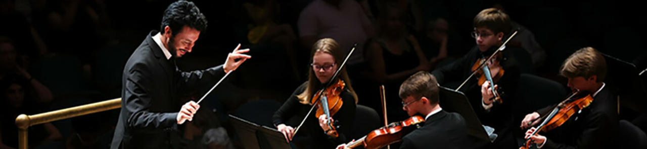 Uri r-ritratti kollha ta' Jacksonville Symphony Youth Orchestra: Festival of Strings