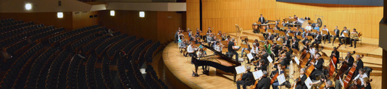 Uri r-ritratti kollha ta' Novosibirsk Academic Symphony Orchestra