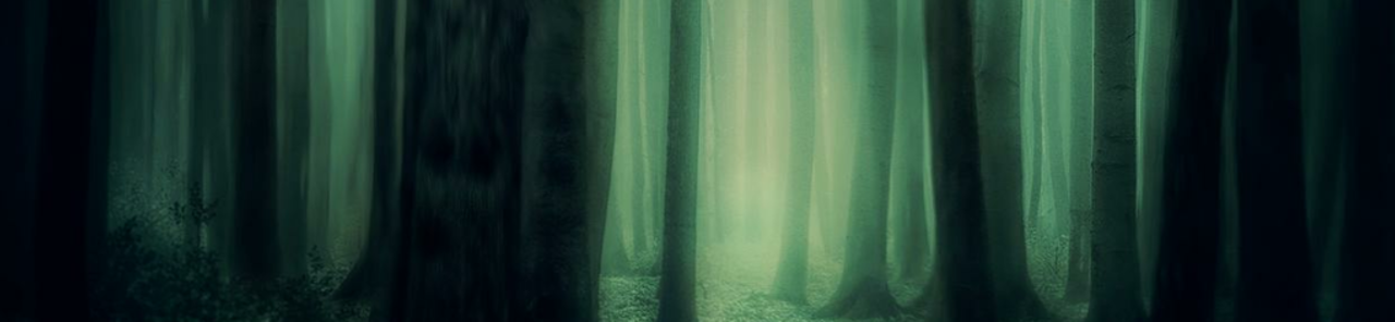 Vis alle billeder af New Worlds: The Enchanted Forest