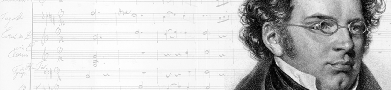 Erakutsi Schubert’s Unfinished: Season Finale -ren argazki guztiak