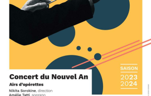 Concert Du Nouvel An - Airs D'opérettes: Concert Various