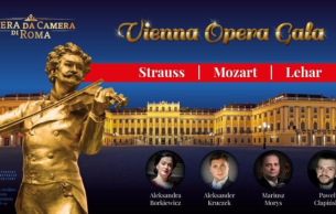 VIENNA CONCERT - VIENNA OPERA GALA: Opera Gala Various