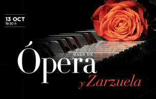 Gala de Ópera y Zarzuela: Opera Gala Various