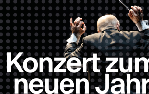Konzert Zum Neuen Jahr: Concert Various