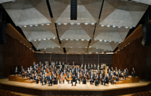 13枚組 THE ISRAEL PHILHARMONIC ORCHESTRA 13枚組 THE ISRAEL PHILHARMONIC ORCHESTRA