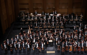 Orquesta Sinfónica de Madrid. Pedro Halffter: Sinfonia Domestica Op. 53 Strauss (+1 More)