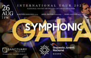 Symphonic Gala: Concert Various