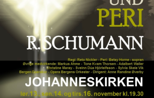 Das Paradies und die Peri Schumann,R