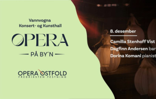 Opera in town: Concert Various