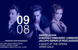 A night at the opera - verdi gala: Concert Various