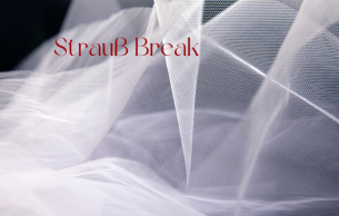 Strauss Break - Day 3: Salome Strauss,R