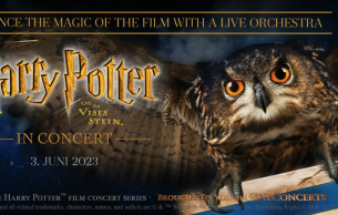Harry Potter and the Sorcerer’s Stone John Williams: Poster