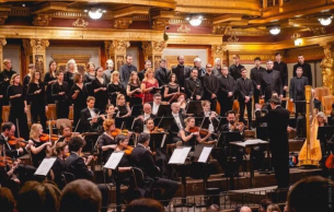 COMEDY MEETS THE SYMPHONY ORCHESTRA - CARNIVAL CONCERT: Concert Various