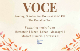 Viva Voce: Concert Various