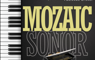 Mozaic sonor: Recital Various